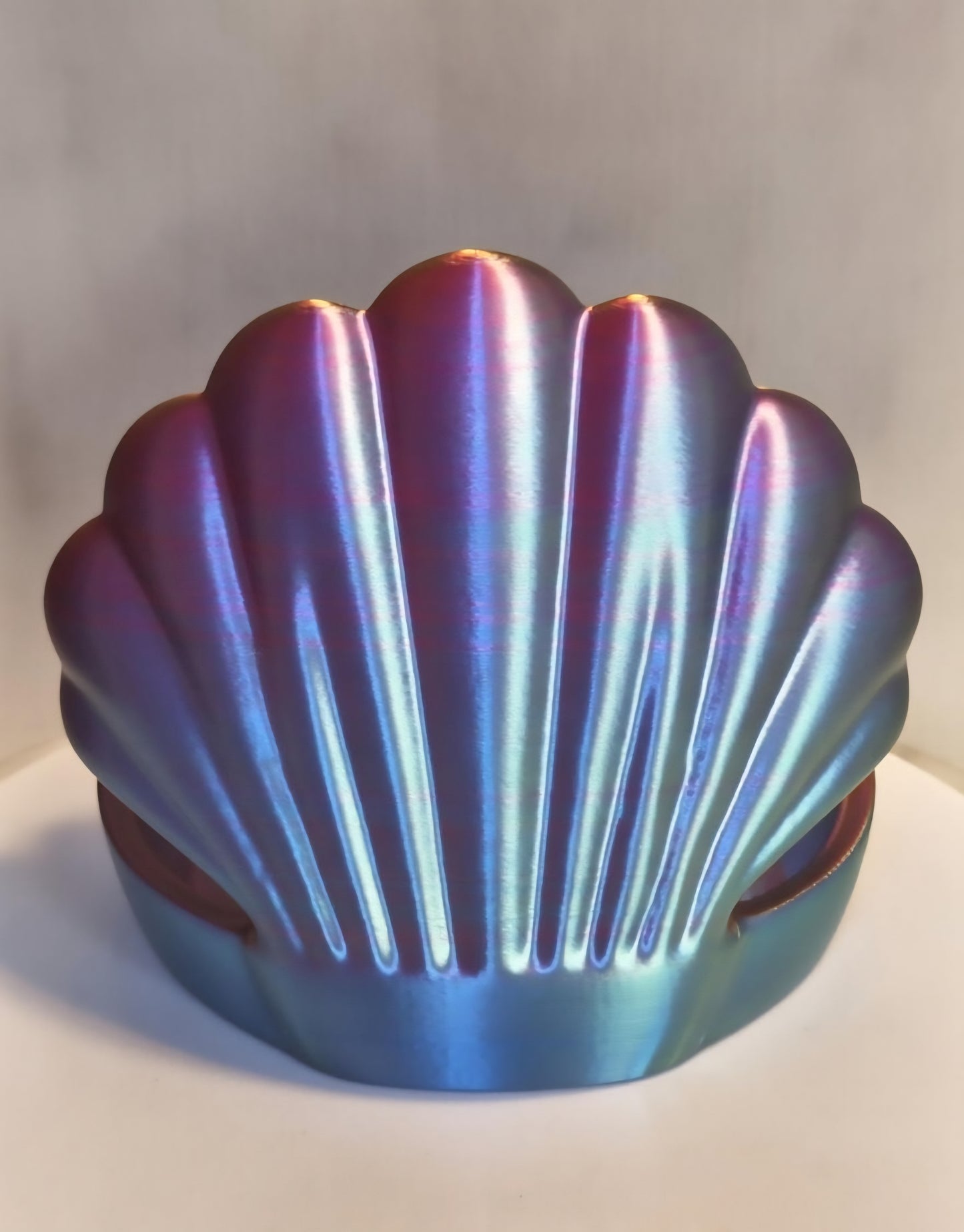 sea shell organizer 3 compartment